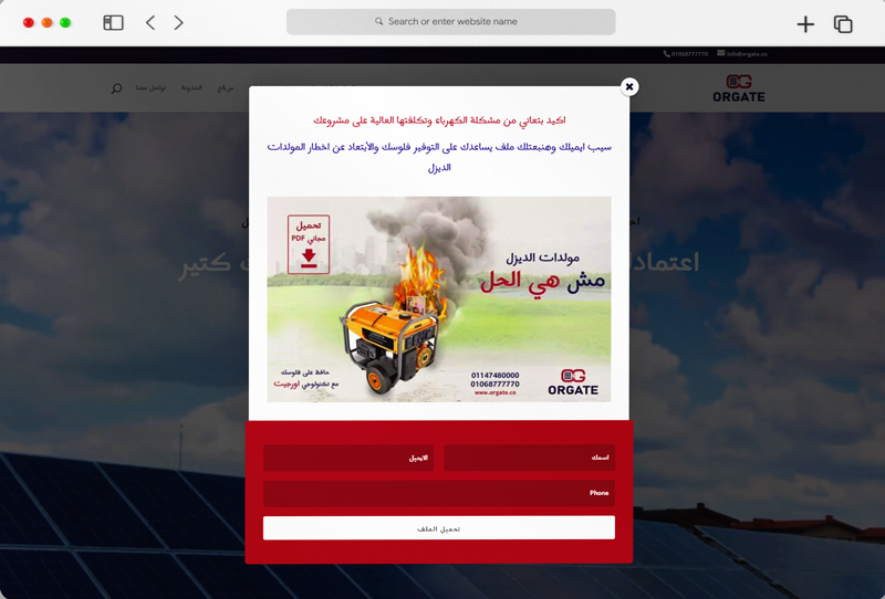 WebHosting & Design 1 174