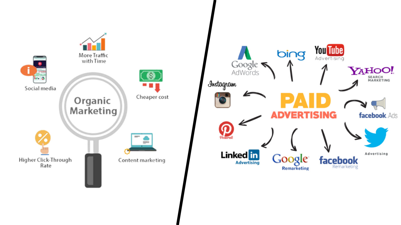 الفرق بين الإعلانات المدفوعة Paid Ads وOrganic Reach في التسويق الهندسي 